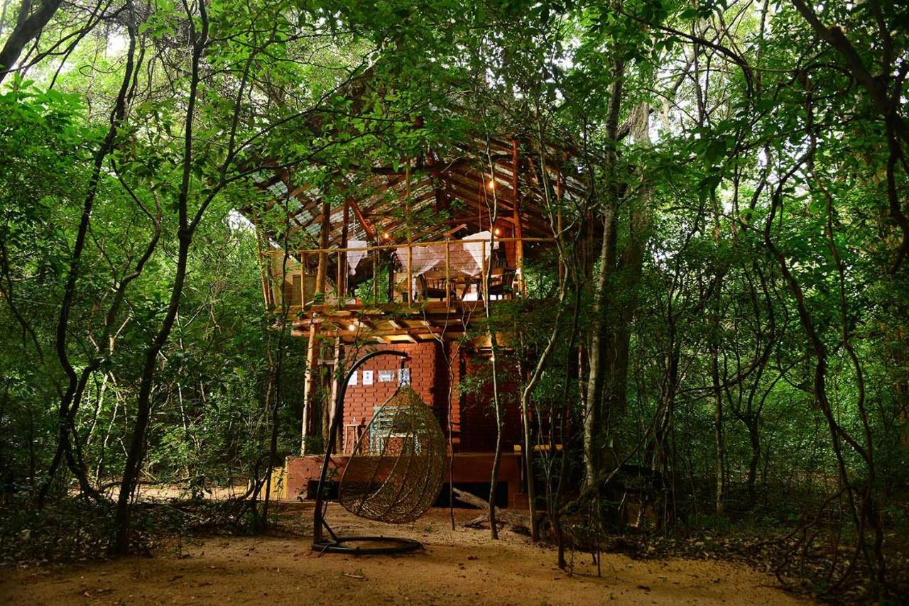 Vila Back Of Beyond - Pidurangala Sigiriya Exteriér fotografie