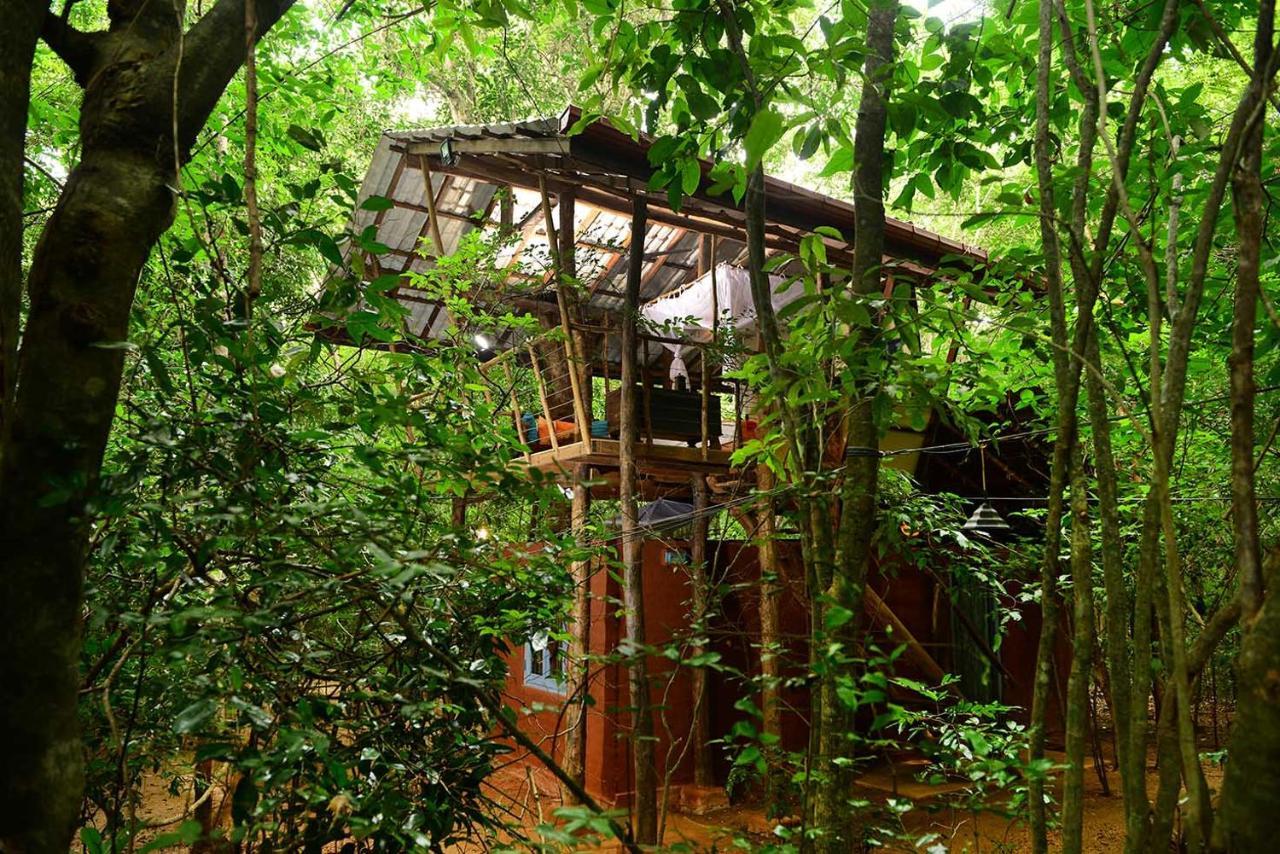 Vila Back Of Beyond - Pidurangala Sigiriya Exteriér fotografie