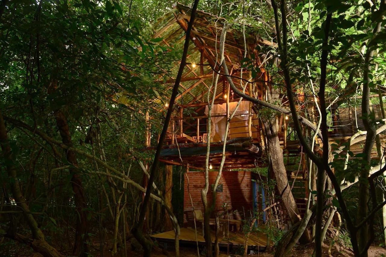 Vila Back Of Beyond - Pidurangala Sigiriya Exteriér fotografie