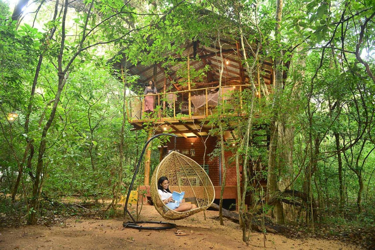 Vila Back Of Beyond - Pidurangala Sigiriya Exteriér fotografie