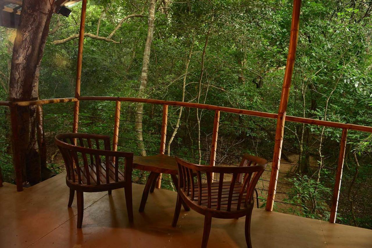 Vila Back Of Beyond - Pidurangala Sigiriya Exteriér fotografie