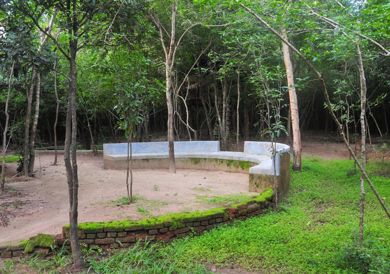 Vila Back Of Beyond - Pidurangala Sigiriya Exteriér fotografie
